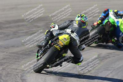 media/Feb-04-2024-SoCal Trackdays (Sun) [[91d6515b1d]]/4-Bowl Backside (11am)/